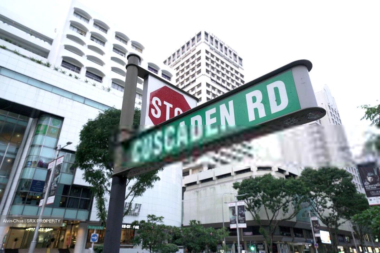 Orchard Towers (D9), Retail #455265801
